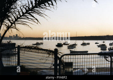 Blick von Doyles Fischrestaurant, Watsons Bay, Sydney, Australien. Innenstadt von Skyline & Harbour Bridge auf Horizon.Palm frond.1978 Stockfoto