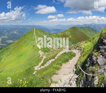 Höhenweg in den grünen sommerlichen Alpen Stockfoto