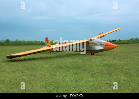 Segelflugzeug Flugzeug auf dem grünen Rasen mit ungarischen Flagge Stockfoto