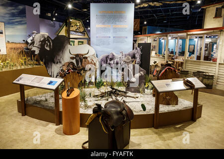 Florida Kissimmee, Orlando, Osceola County Welcome Center, Zentrum, Geschichtsmuseum, Ausstellungsausstellung Sammlung FL160402007 Stockfoto