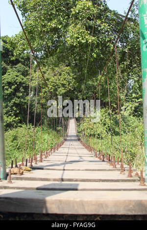 Sehen Sie sich auf hölzerne Hängebrücke im sonnigen Wald Stockfoto