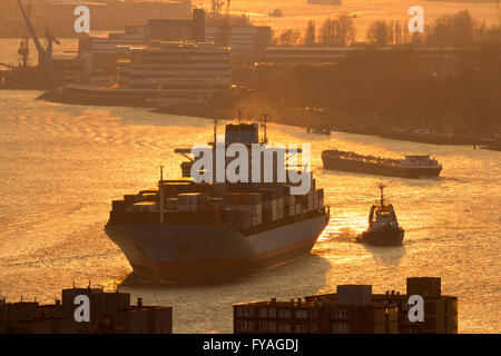 Schiff auf der Maas im Rotterdamer Hafen bei Sonnenuntergang Stockfoto