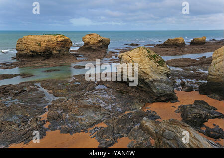 Meer-Stacks an der Plage des Cinq Pineaux bei Ebbe, Saint-Hilaire-de-Riez, La Vendée, Pays De La Loire, Frankreich Stockfoto