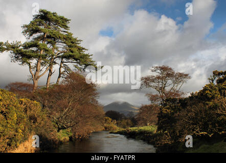 Das Dysynni Tal und Fluss in Llanfihangel y Wimpel mit Blick auf Berg Cadair Idris Stockfoto