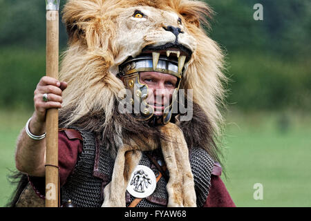 Roman Legionary Standard Bearer - Aqualifer, erste Legion Löwe Fell tragen Stockfoto