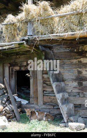 Heu-Trocknung auf Haus Balkon, Dorf in der Nähe von Manali, Himachal Pradesh, Indien, Stockfoto