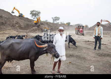 Latur, Maharashtra. 20. April 2016. 20. April 2016 - Latur - Indien. Bauer Balasahab Kale, 60, von Sai, außerhalb der Stadt Latur mit seinen Buffalo. Die Verwaltung hat begonnen, Verbreiterung & Vertiefung der Sai River für die Regenwassernutzung. © Subhash Sharma/ZUMA Draht/Alamy Live-Nachrichten Stockfoto