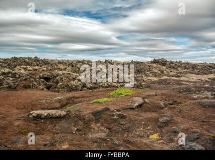 Reykjanes Halbinsel, Süd-West Island, Island. 5. August 2015. Felder von vulkanischem Geröll und Felsen, mit Flecken von grünem Moos in einem Lavafeld in der Nähe von GrindavÃk auf der Halbinsel Reykjanes, südwestlichen Island, wo Tourismus ist ein wachsender Sektor der Wirtschaft geworden. © Arnold Drapkin/ZUMA Draht/Alamy Live-Nachrichten Stockfoto