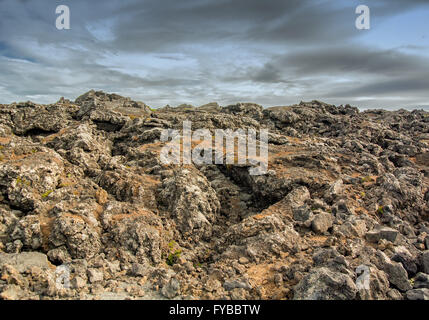 Reykjanes Halbinsel, Süd-West Island, Island. 5. August 2015. Felder von vulkanischem Geröll und Felsen, mit Flecken von grünem Moos in einem Lavafeld in der Nähe von GrindavÃk auf der Halbinsel Reykjanes, südwestlichen Island, wo Tourismus ist ein wachsender Sektor der Wirtschaft geworden. © Arnold Drapkin/ZUMA Draht/Alamy Live-Nachrichten Stockfoto