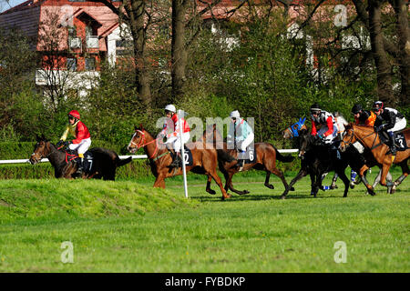 Rennen, Pferd, Partynice Wroclaw, Polen, Open Season 2016, 24. April 2016, Wroclaw, Dolnoslaskie, Partynice, Polen, Europa, Stockfoto