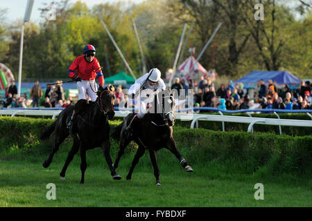 Rennen, Pferd, Partynice Wroclaw, Polen, offene Saison 2016, 24. april 2016, breslau, dolnoslaskie, Partynice, polen, europa, Foto Kazimierz Jurewicz Stockfoto