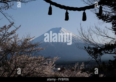 Mt. Fuji ist durch ein Torii-Tor von Arakura Sengen Schrein am 15. April 2016, in Stadt Fujiyoshida, Yamanashi-Präfektur, Japan gesehen. © Yuriko Nakao/AFLO/Alamy Live-Nachrichten Stockfoto