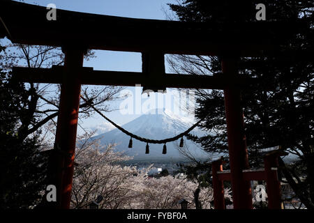 Mt. Fuji ist durch ein Torii-Tor von Arakura Sengen Schrein am 15. April 2016, in Stadt Fujiyoshida, Yamanashi-Präfektur, Japan gesehen. © Yuriko Nakao/AFLO/Alamy Live-Nachrichten Stockfoto