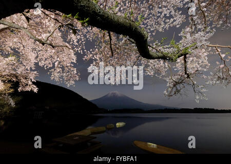 Kirschblüten blühen wie Mt. Fuji vorbei an See Tanuki oder Tanuki-Ko, am 16. April 2016, in Fujinomiya City, Präfektur Shizuoka, Japan gesehen wird. © Yuriko Nakao/AFLO/Alamy Live-Nachrichten Stockfoto