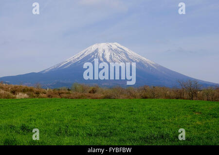 Mt. Fuji ist am 16. April 2016 in Fujinomiya City, Präfektur Shizuoka, Japan gesehen. © Yuriko Nakao/AFLO/Alamy Live-Nachrichten Stockfoto