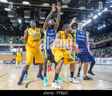 London, UK 24. April 2016. London-Lions Vs Sheffield Haie in der Kupfer-Box-Arena im Olympiapark, Sheffield Haie gewinnen 78 / 75. aber Sheffield Haie gewinnen Viertelfinale insgesamt. Copyright Carol Moir/Alamy Live-Nachrichten. Stockfoto