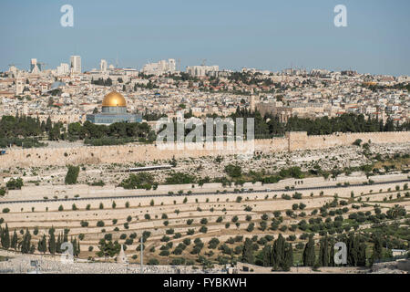 Jerusalem, USA. 16. April 2016. Alte Stadt Jerusalem, die Kuppel des Gesteins und der alte historische Stadtmauer gesehen aus dem Ölberg. Leben in Jerusalem, Israel und Palästina soll langsam zurück zu normalen Folgemonaten Angriffe in dem 28 Israelis und zwei Amerikaner von palästinensischen Angriffe, eine durch eine Bus-Bomben getötet wurden und mindestens 188 getöteten israelischen Feuer. © Jay Mallin/ZUMA Draht/Alamy Live-Nachrichten Stockfoto