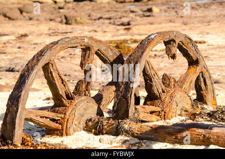 Historic rosten Schiene Wagenräder auf Windang Insel Illawarra NSW Australia Stockfoto