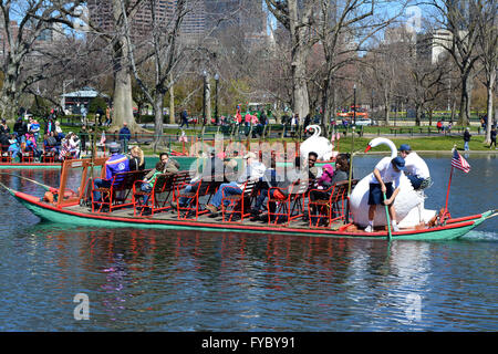 Swan Boote in Boston Public Garden. Stockfoto