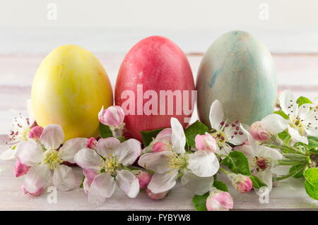 Bemalte Ostereier und Frühlingsblumen Stockfoto