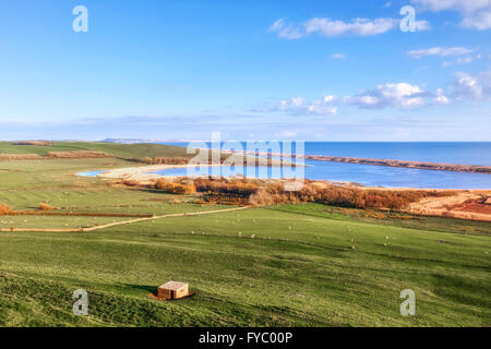 Abbotsbury, Chesil Beach, Dorset, England, Vereinigtes Königreich Stockfoto