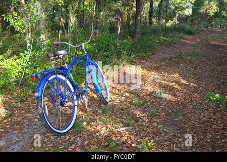 Klassischen Stil American Cruiser-Fahrrad geparkt auf einen Feldweg, April 2016 Stockfoto