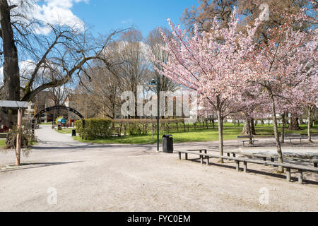 Frühling in den berühmten Park Tradgardsforeningen in Linköping, Schweden Stockfoto