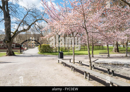 Frühling in den berühmten Park Tradgardsforeningen in Linköping, Schweden Stockfoto