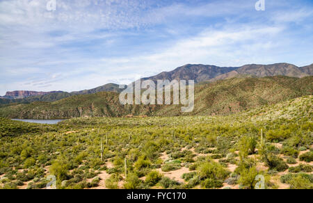 Apache Trail Stockfoto