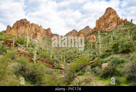 Apache Trail Stockfoto