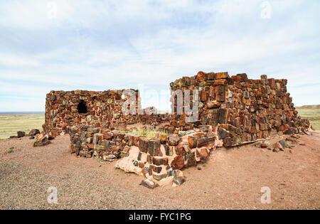 Petrified Forest Nationalpark Stockfoto