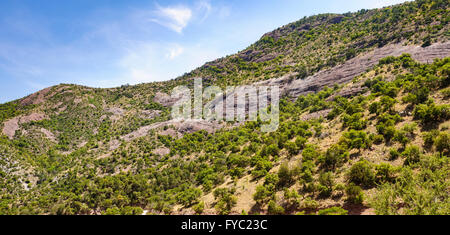 Coronado National Memorial Stockfoto