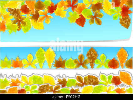 Blätter im Herbst. Stockfoto