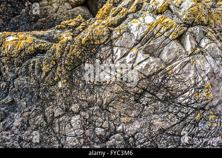 Abstrakte vulkanischen Felsformationen mit Flechten auf Llanddwyn Island, Anglesey, Wales. Stockfoto