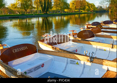 Ruderboote, benannt nach Shakesperian Zeichen auf dem Fluss Avon an einem frühen Morgen im Herzen von Stratford-upon-Avon günstig Stockfoto