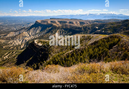 Mesa Verde Nationalpark Stockfoto