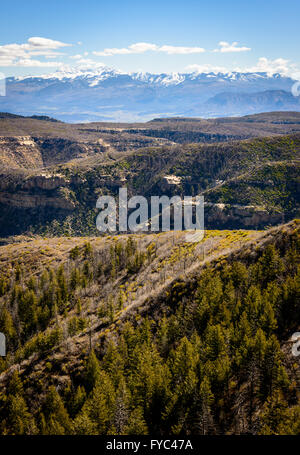 Mesa Verde Nationalpark Stockfoto