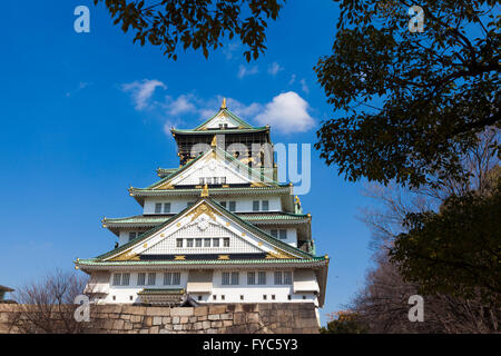OSAKA, JAPAN - März 14: Die wichtigsten gerahmt Turm von Osaka Castle von Bäumen im Schlosspark in Osaka, Japan am 14. März 201 Stockfoto