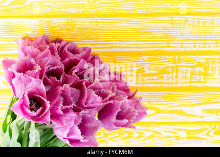 violette Tulpen auf dem gelben Hintergrund aus Holz. Stockfoto