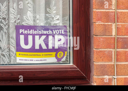 Stimmen Sie UKIP anmelden, ein Wohn-Fenster in England und Wales.  Die UKIP bestreiten Sitze in der walisischen Versammlung Stockfoto