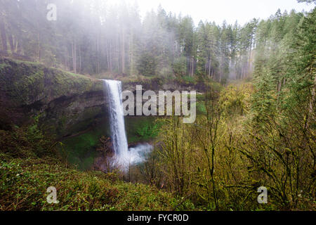 Süden fällt aus der South Loop Trail, Teil der Strecke zehn fällt bei Silver Falls State Park in Oregon. Stockfoto