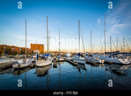 Boote in einer Marina in Kanton, Baltimore, Maryland angedockt. Stockfoto