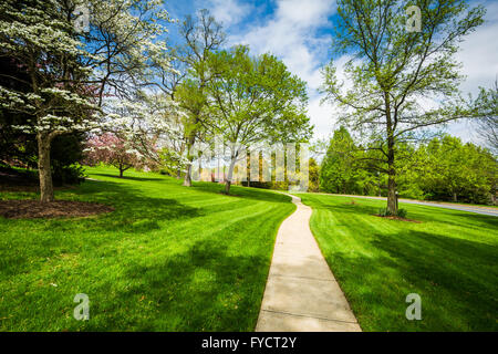 Gehweg und Frühjahr Farbe an der Johns Hopkins am Mount Washington, Baltimore, Maryland. Stockfoto