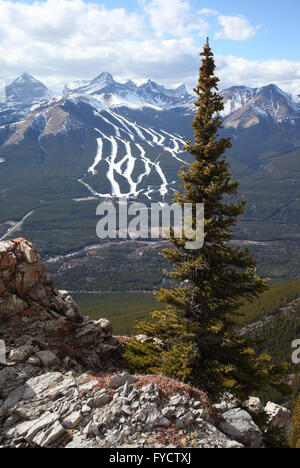 Blick auf Nakiska Ski-Hügel in Kananaskis Country (Alberta, Kanada) Stockfoto