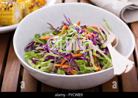 Cole Slaw Salat für ein Picknick im freien Stockfoto