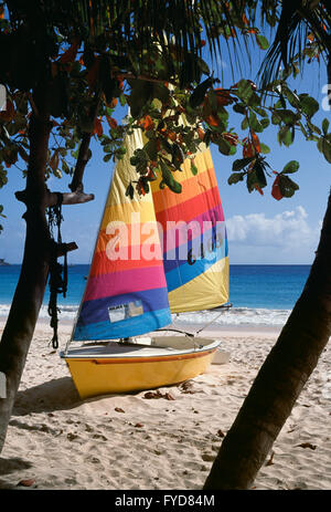 Segeln-Beiboot auf Carlisle Bay Beach, Barbados Stockfoto