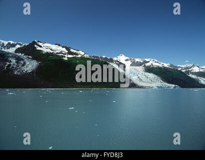 Berge und Gletscher in Alasksa Stockfoto