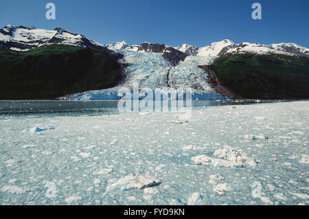 Berge und Gletscher in Alasksa Stockfoto