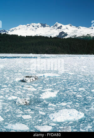 Berge und Gletscher in Alasksa Stockfoto