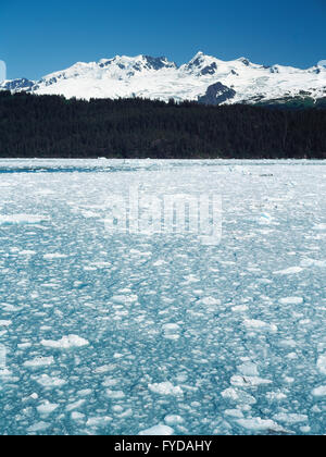 Berge und Gletscher in Alasksa Stockfoto